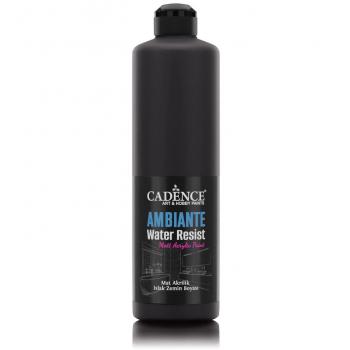 AMBIENTE SUYA DAY. AKR. BOYA AW-24 SİYAH 500ML + KATALİZÖR 20GR