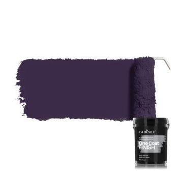 ONE COAT FINISH AKRİLİK İÇ CEPHE BOYASI OCF-10 MÜRDÜM 2.5LT