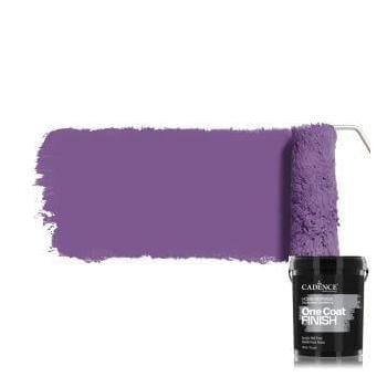 ONE COAT FINISH AKRİLİK İÇ CEPHE BOYASI OCF-11 ROMANS 2.5LT