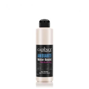 AMBIENTE SUYA DAY. MET. AKR. BOYA AWM-01 İNCİ 500ML + KATALİZÖR 20GR