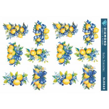 Limonlu Sulu Transfer 25-35 cm SL0060