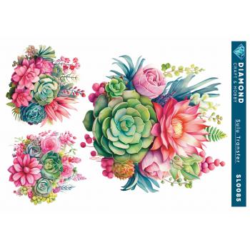 Skulent Kaktüs Çiçekli Sulu Transfer 25-35 cm SL0085